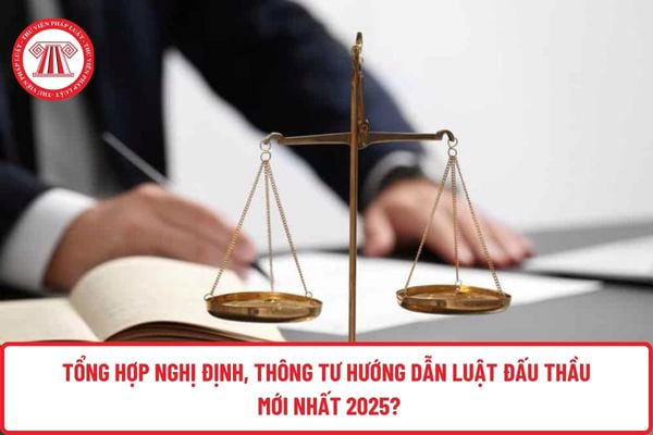 Pháp luật