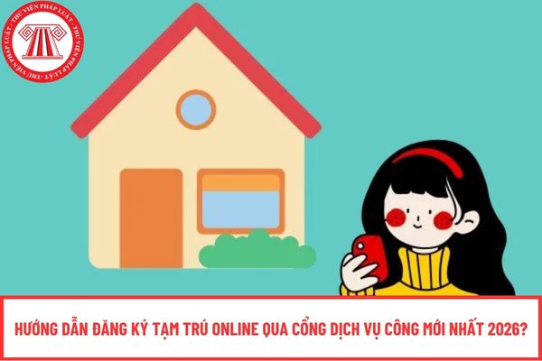 Pháp luật