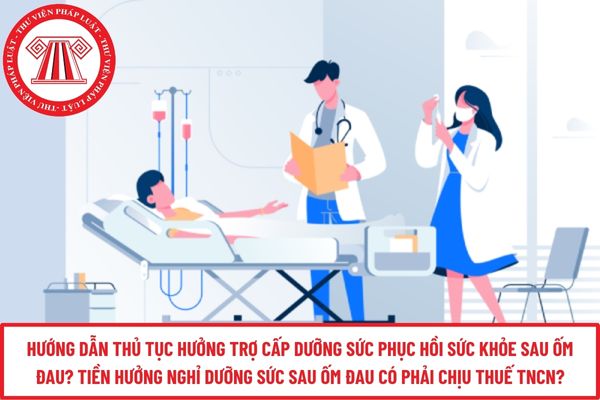 Pháp luật