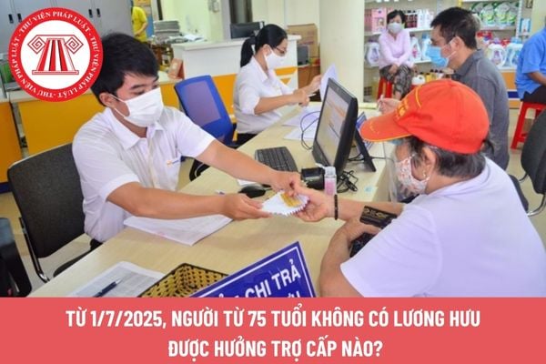 Pháp luật