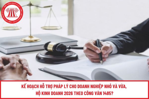 Pháp luật