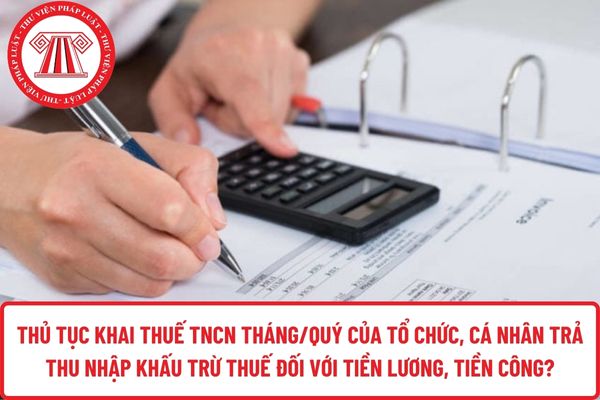 Pháp luật