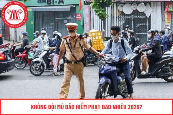 Pháp luật