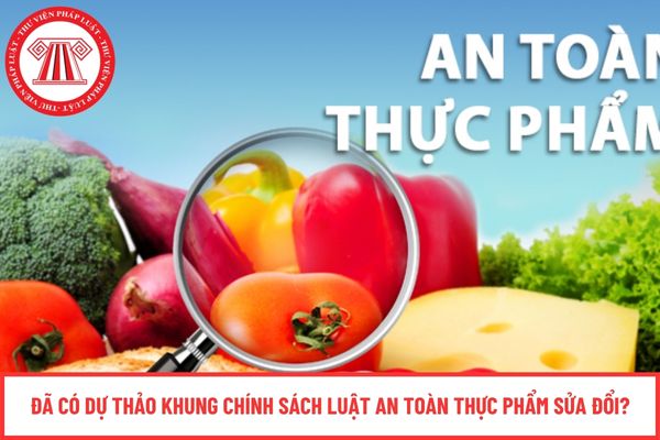 Pháp luật