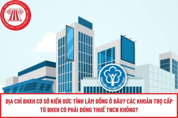 Pháp luật