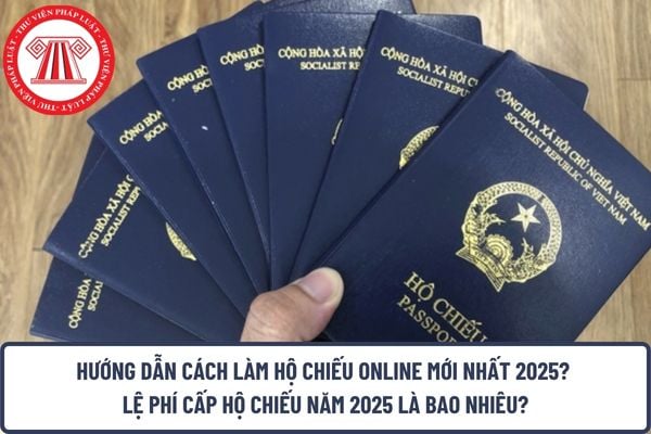 Pháp luật