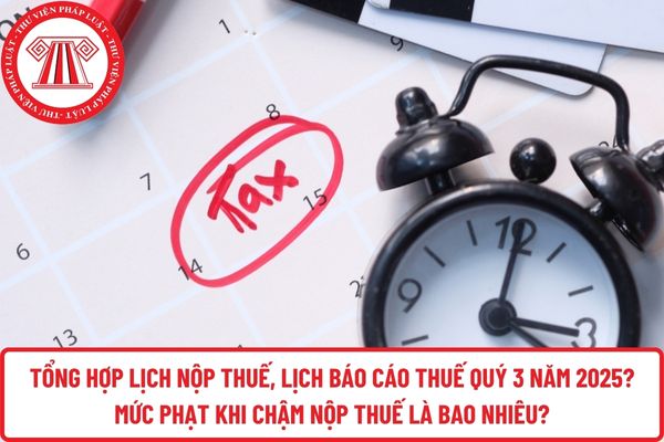 Pháp luật
