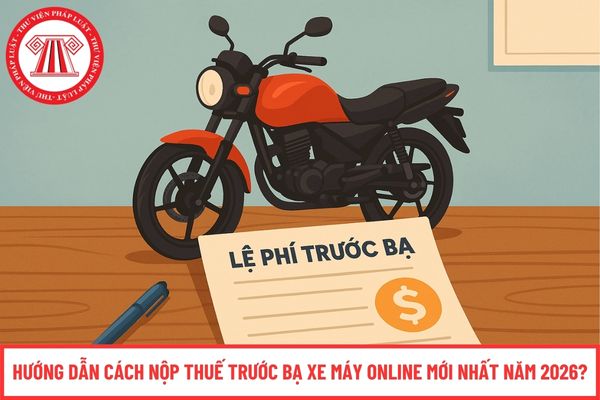 Pháp luật