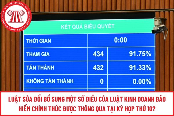 Pháp luật