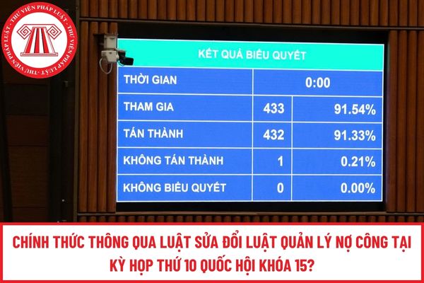 Pháp luật