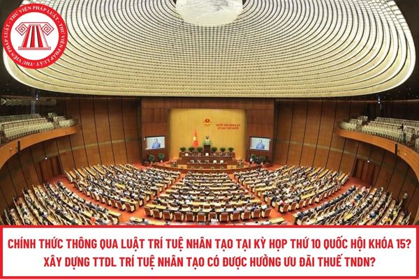 Pháp luật