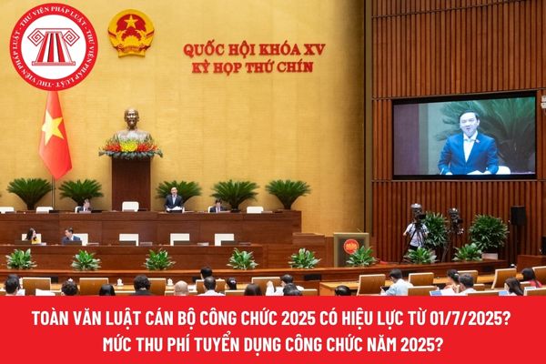 Pháp luật