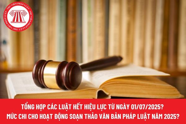 Pháp luật
