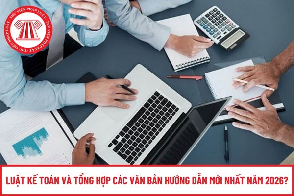 Pháp luật