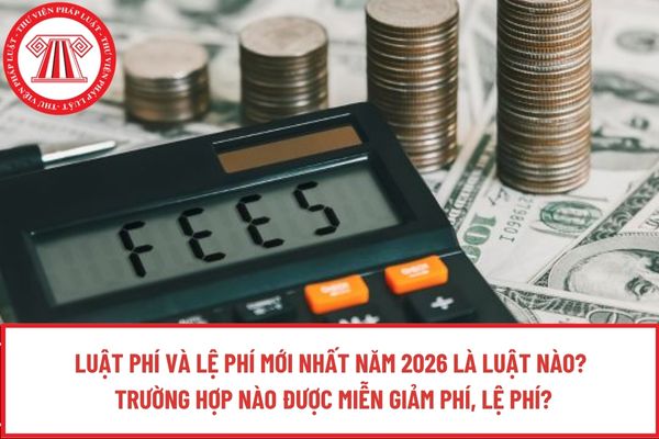 Pháp luật