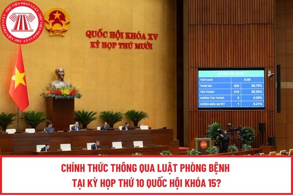 Pháp luật