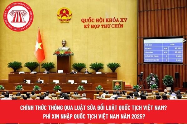Pháp luật