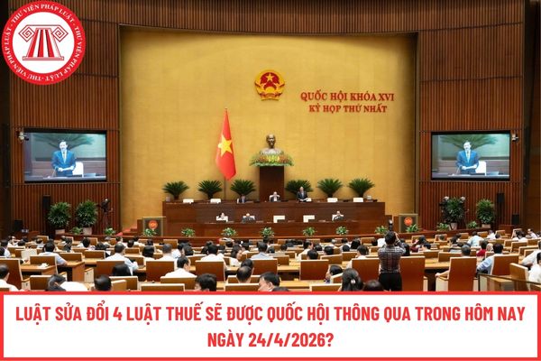 Pháp luật