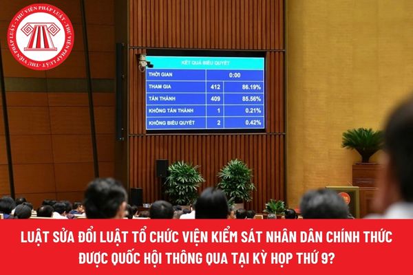 Pháp luật