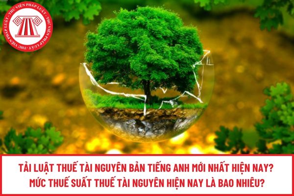 Pháp luật