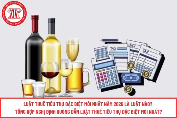Pháp luật