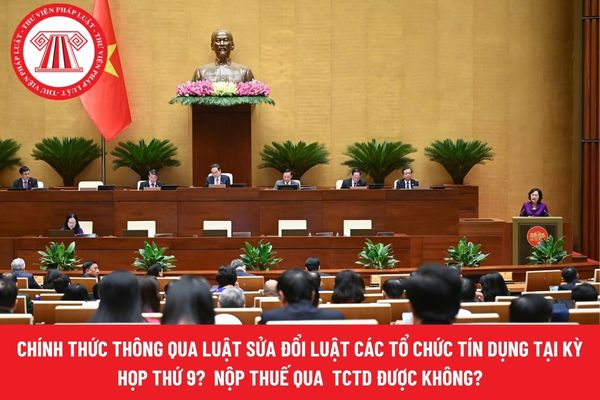 Pháp luật