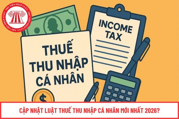 Pháp luật