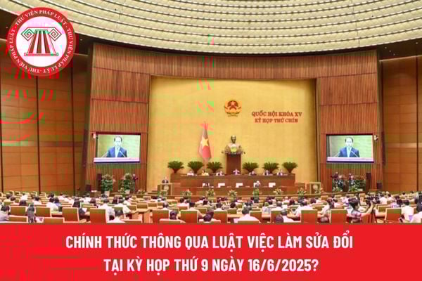 Pháp luật