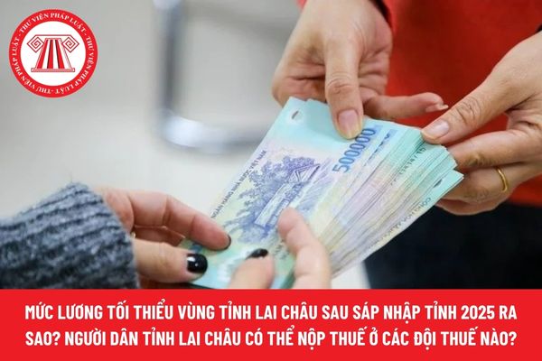 Pháp luật