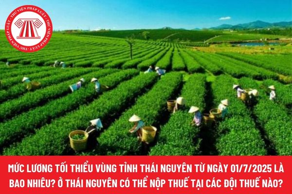 Pháp luật