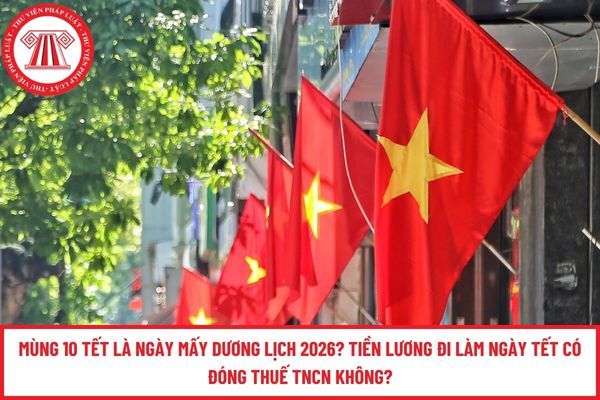 Pháp luật