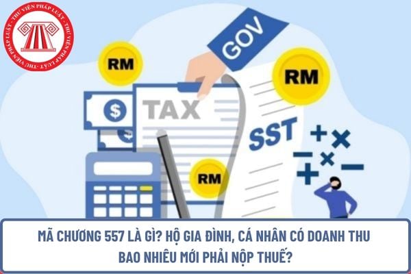 Pháp luật