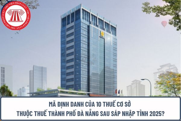 Pháp luật