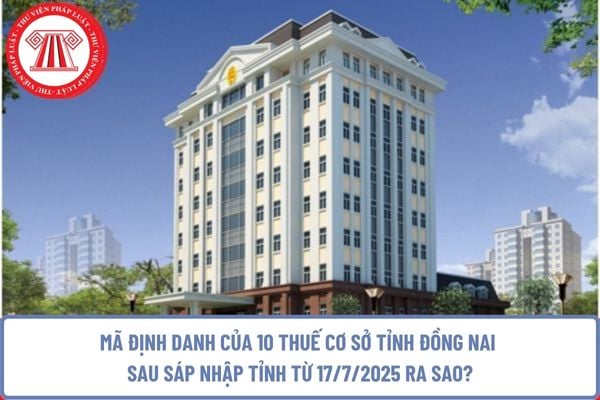 Pháp luật