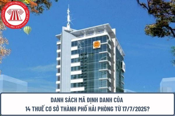 Pháp luật