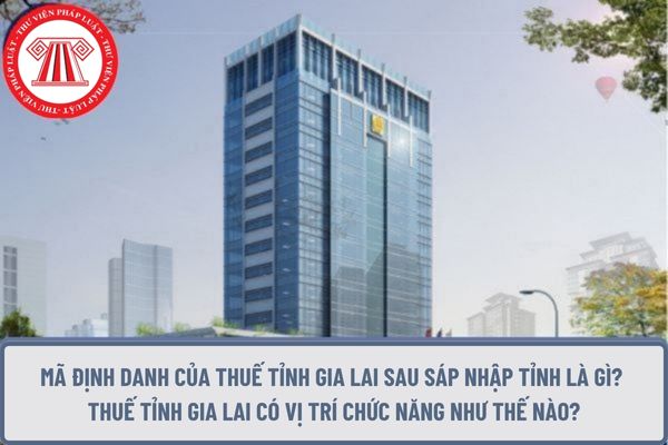 Pháp luật