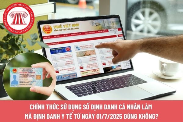 Pháp luật