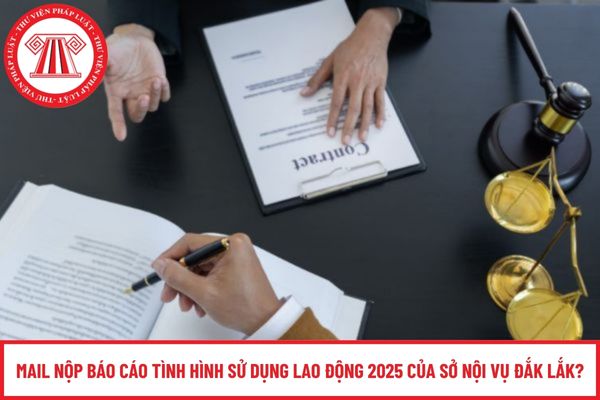 Pháp luật