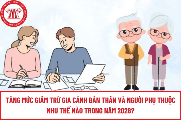 Pháp luật
