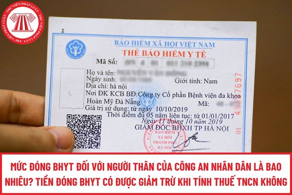 Pháp luật