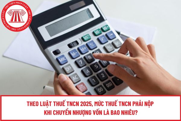 Pháp luật