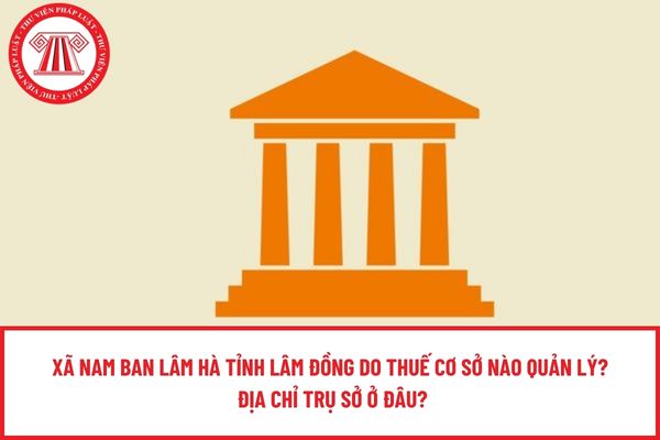 Pháp luật