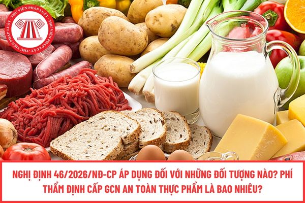 Pháp luật