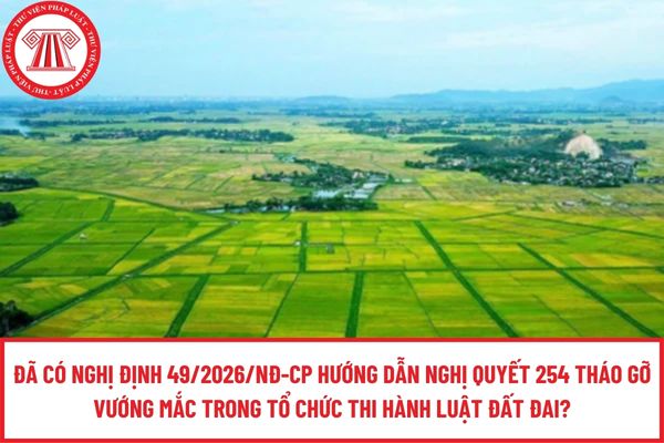 Pháp luật
