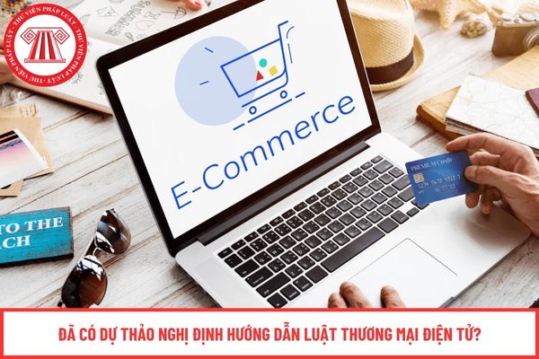 Pháp luật