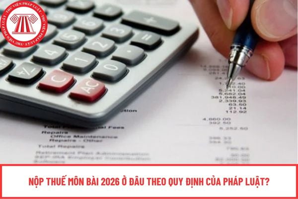 Pháp luật