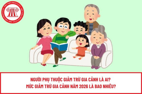 Pháp luật