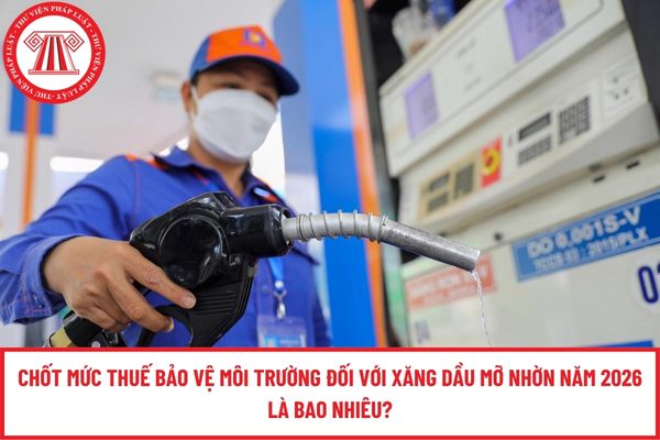 Pháp luật