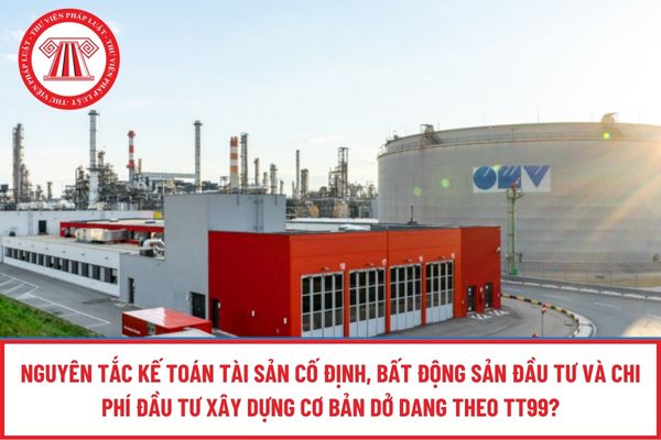 Pháp luật