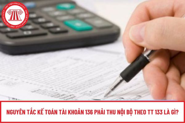 Pháp luật